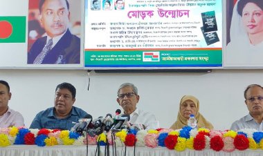 আমরা বিদেশিদের কাছে যাই না, তারাই আসেন: মির্জা ফখরুল