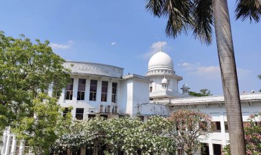 দেশের শীর্ষ মাদক ব্যবসায়ীদের তালিকা চান হাইকোর্ট