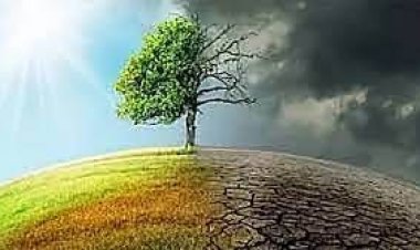 গোটা বিশ্বে রেকর্ড ভাঙলো জুনের গড় তাপমাত্রা: ইইউ