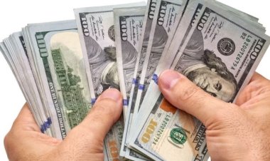 ডলার সঙ্কটের মধ্যে বাড়ল ঋণের সুদহার