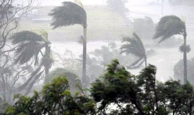 সাত অঞ্চলে ঝোড়ো হাওয়াসহ বৃষ্টির আভাস