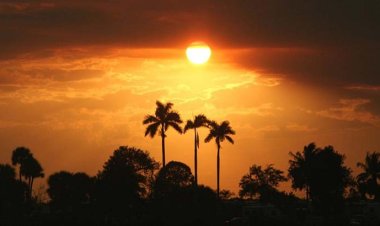 বছরের দীর্ঘতম দিন আজ