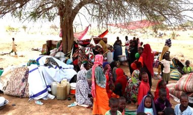 সুদান থেকে পালিয়েছে ৫ লাখেরও বেশি মানুষ : জাতিসঙ্ঘ