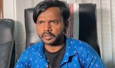 প্রার্থিতা ফিরে পেলেন হিরো আলম