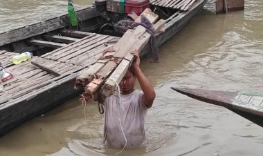বাড়ছে যমুনার পানি, অর্ধশতাধিক ঘরবাড়ি নদীগর্ভে বিলীন