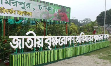 জমজমাট জাতীয় বৃক্ষমেলা, ১৮ দিনে ৭ লাখ চারা বিক্রি