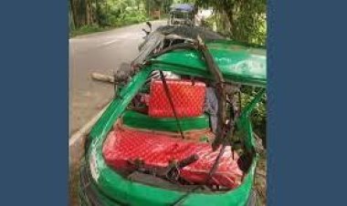 সিএনজি-ট্রাকের মুখোমুখি সংঘর্ষে নিহত ২