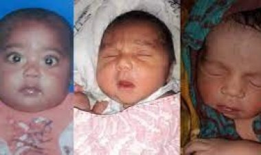 কুষ্টিয়ায় বাড়ছে প্রসূতি মৃত্যু ও এতিম শিশু