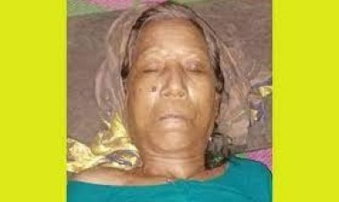 হবিগঞ্জে ছেলের হাতে মা খুন