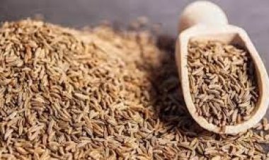 ৩৩৫ টাকার জিরা ভোক্তা কিনছে ১০০০ টাকায়!