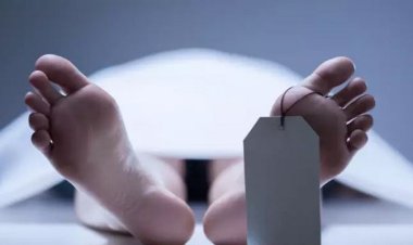 নেত্রকোনায় ২ মরদেহ উদ্ধার