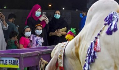 পাকিস্তানে নারীদের জন্য প্রথম গরুর হাট