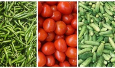 কাঁচা মরিচ-টমেটো-শসার দাম লাগাম ছাড়া