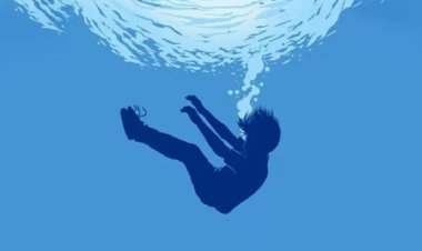 ঈদের দিন পানিতে পড়ে ভাই বোনের মৃত্যু