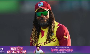 গেইলের মতে বিশ্বকাপের সেমিতে খেলবে যারা