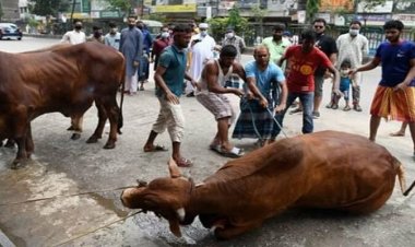 রাজধানীতে ঈদের দ্বিতীয় দিনেও চলছে পশু কোরবানি