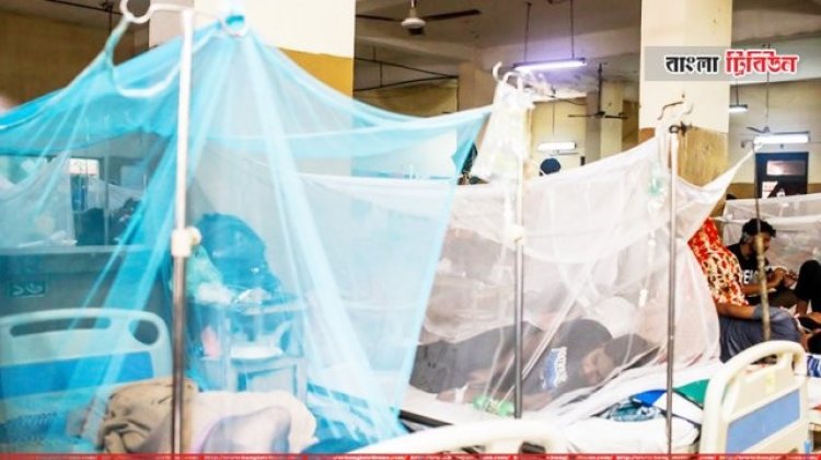 ডেঙ্গুতে আক্রান্ত হয়ে আরও ৯৬ জন হাসপাতালে ভর্তি
