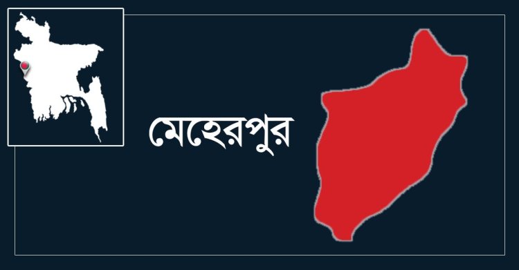 মেহেরপুরে বিদ্যুৎস্পৃষ্ট হয়ে মা-মেয়ের মৃত্যু