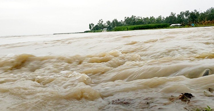 খুলে দেওয়া হয়েছে ৪৪ গেট: হু হু করে পানি বাড়ছে তিস্তায়, নিম্নাঞ্চল প্লাবিত