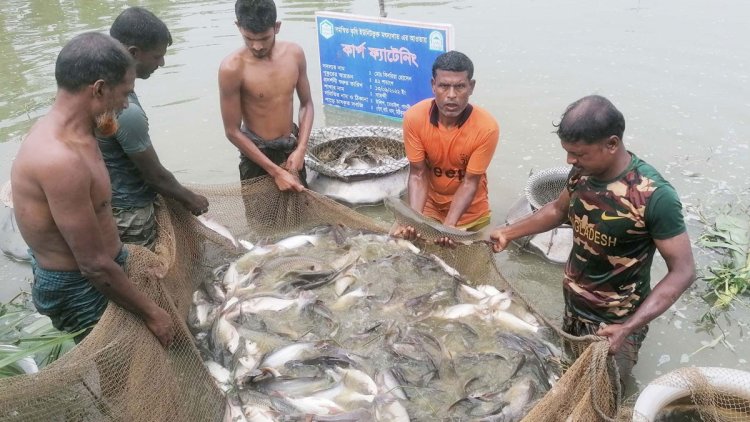 ২০২১-২২ অর্থবছরে ৭৪০৪২.৬৭ টন মাছ বিদেশে রপ্তানি হয়েছে