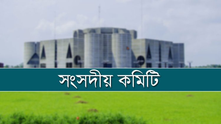 সরকারি ৫ সংস্থার অডিট আপত্তি নিষ্পত্তিতে নির্দেশনা সংসদীয় কমিটির