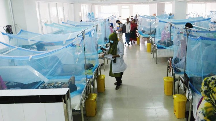 ডেঙ্গুতে ১ জনের মৃত্যু, হাসপাতালে ৩৬৯