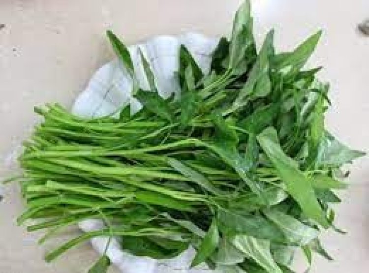কলমি শাক খাওয়ার উপকারিতা
