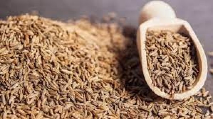 ৩৩৫ টাকার জিরা ভোক্তা কিনছে ১০০০ টাকায়!