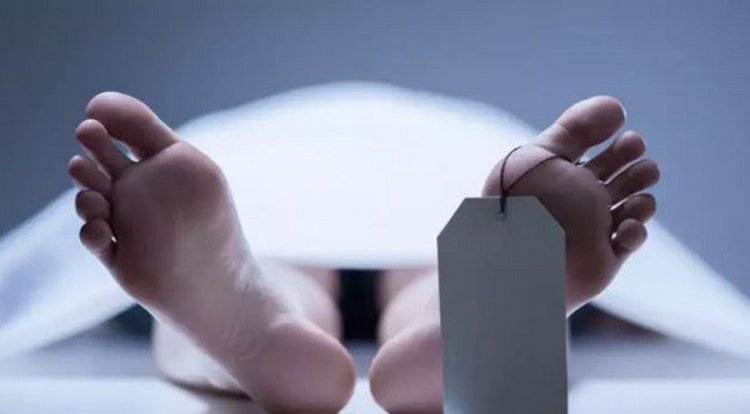 নেত্রকোনায় ২ মরদেহ উদ্ধার