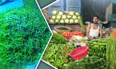 হাত বদলেই ২০০ টাকা বাড়ে কাঁচা মরিচের দাম