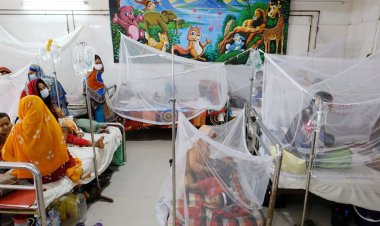 জুন মাসে সর্বোচ্চ ডেঙ্গু রোগী শনাক্ত