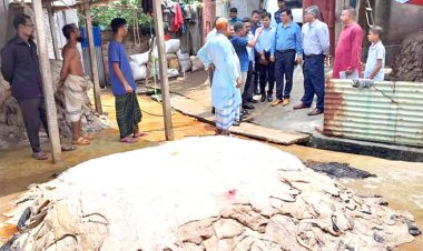 সরবরাহ বেশি থাকায় চামড়ার দাম কিছুটা কম: বাণিজ্যসচিব