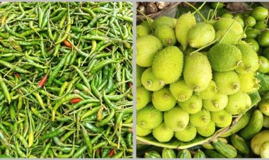 স্থিতিশীল সবজি বাজার, একলাফে কাঁচা মরিচের দাম ৮০০