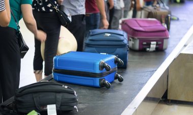 বিমানবন্দরে লাগেজে রাখা ৭৩টি সাপসহ যাত্রী আটক