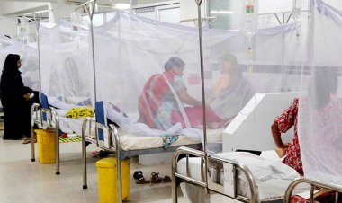 ডেঙ্গুতে ২ জনের মৃত্যু, হাসপাতালে আরও ৫০৯