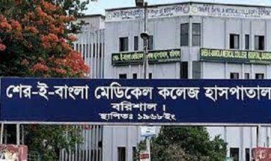 ঈদের ছুটিতে শেবাচিম হাসপাতালে ৬০ রোগীর মৃত্যু