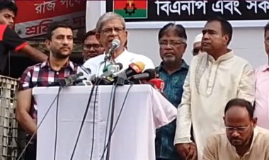 সংকট উত্তরণে সরকারের পদত্যাগ ছাড়া আর কোনো পথ নেই: মির্জা ফখরুল