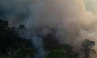 গবেষকদের সতর্কবার্তা: জলবায়ুর বিপর্যয়কর প্রভাব আগামী ১৫ বছরের মধ্যেই শুরু হতে পারে