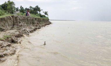 দৌলতদিয়ায় ভাঙছে নদী, আতঙ্কে স্থানীয়রা