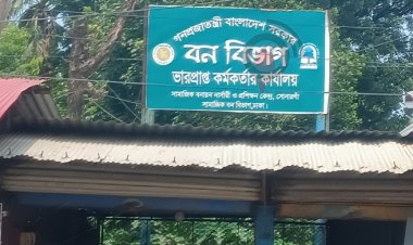 সোনারগাঁ বনবিভাগ যেন মাদকসেবীদের অভয়ারণ্য