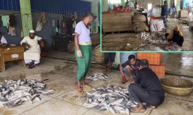 ভরা মৌসুমে ইলিশশূন্য বরিশালের আড়ত