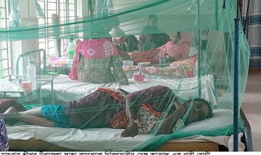 মাগুরায় একই গ্রামের ১০ জনসহ  ৩৮ নারী-পুরুষ ডেঙ্গু রোগে আক্রান্ত 