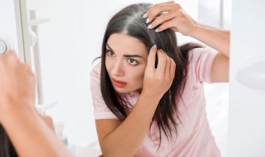 অকালে চুল পেকে যাওয়া বন্ধ করতে কী খেতে বলছেন পুষ্টিবিদ?