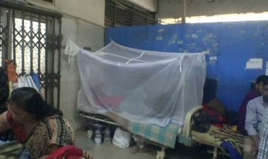 রংপুরে বাড়ছে ডেঙ্গু রোগী, হাসপাতালে নেই আলাদা ওয়ার্ড
