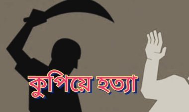 সালিশে বড় ভাইয়ের দায়ের কোপে ছোট ভাই খুন