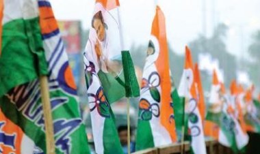 ভারতে পঞ্চায়েত ভোটে তৃণমূলের জয়জয়কার