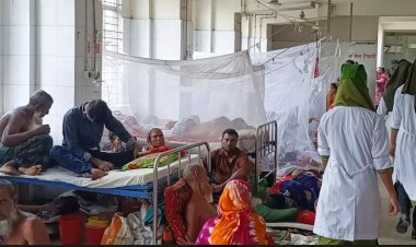 হাসপাতালে ভর্তির এক ঘণ্টা পর ডেঙ্গু রোগীর মৃত্যু 