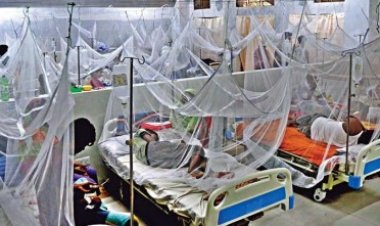 বগুড়ায় ডেঙ্গুতে একজনের মৃত্যু