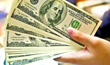 বকেয়া এলসির দায় পরিশোধ করতে গিয়েই বাড়ছে ডলারের ঘাটতি