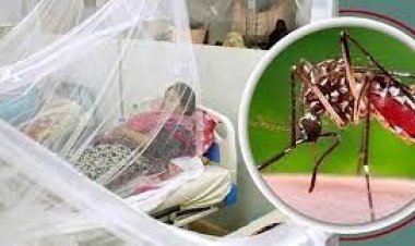 ডেঙ্গুর ভয়াবহতায় একদিনে ৭ জনের মৃত্যু, সর্বোচ্চ ১০৫৪ রোগী হাসপাতালে ভর্তি